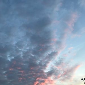 Meet your Posher, Harper